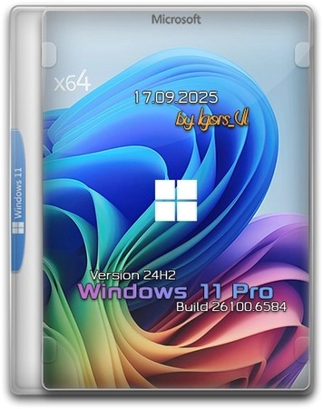 Windows 11 Pro 24H2 Build 26100.6584 by Igors_VL