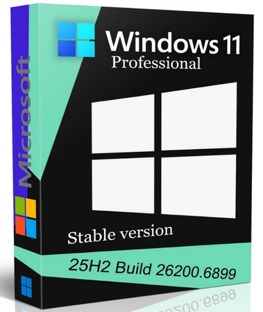 Windows 11 Pro 25H2 build 26200.6899 Stable