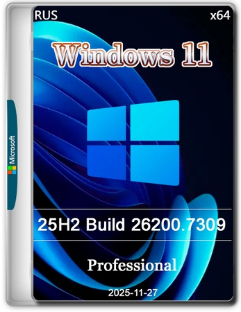 Windows 11 Pro 25H2 Build 26200.7309