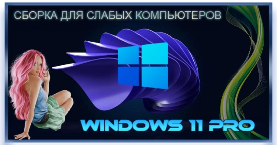 Windows 11 для слабых компьютеров Pro 22H2 22621.2134 x64