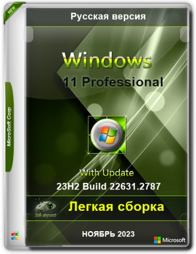 Windows 11 23H2 Professional 22631.2787 Lite
