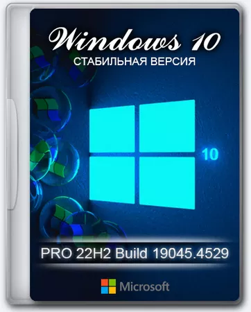 Windows 10 Pro 22H2 19045.4529 x64 Stable