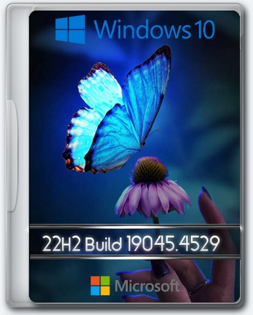 Windows 10 Optima Pro 22H2 19045.4529 x64