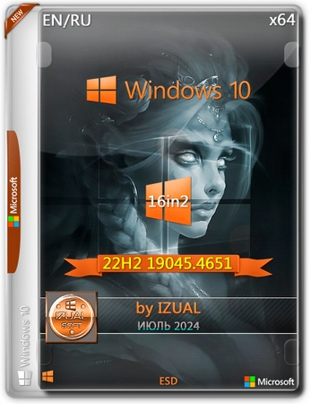 Windows 10 22h2 [19045.4651] [16in2] (x64) by IZUAL