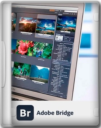 Просмотр графических файлов Adobe Bridge 2025 15.0.3.525 by KpoJIuK