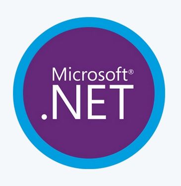 Системный компонент Microsoft .NET 5.0.10